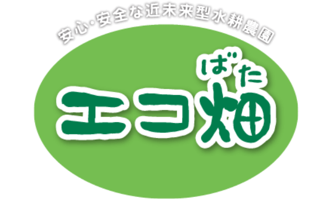 安心安全な近未来型水耕農園　エコ畑